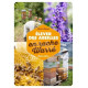 LIVRE - ELEVER DES ABEILLES EN RUCHE WARRE