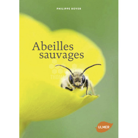 LIVRE - ABEILLE SAUVAGE (Philippe Boyer)