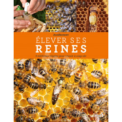 Comment l'abeille devient reine ? - Naturabee