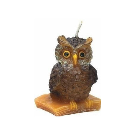 MOULE A BOUGIE : HIBOU SUR LIVRE