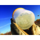 VARROA EASYCHECK