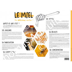 POSTER PEDAGOGIQUE - LE MIEL (600*850 mm)