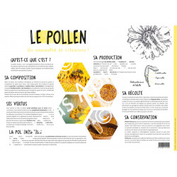 POSTER PEDAGOGIQUE - LE POLLEN (600*850 mm)