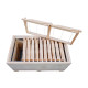 PACK NUCLEI DE FECONDATION MAXIPLUS THOMAS (AVEC 12 cadrons RR1106)