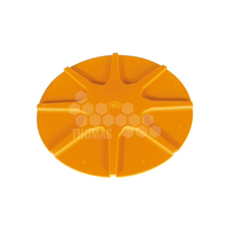 CHASSE ABEILLES ROND 8 SORTIES