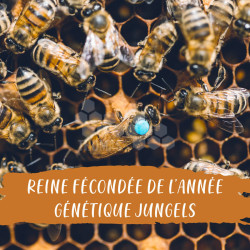 REINE DE L'ANNEE FECONDEE FRANCE GENETIQUE P.JUNGELS