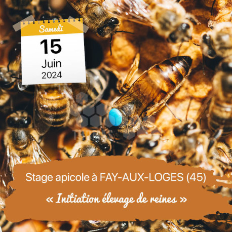 STAGE APICOLE FAY - L'ELEVAGE DE REINES