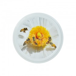 CAPSULE TO 63 ABEILLES FLEURS BLANCHES (CARTON COMPLET)