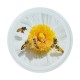 CAPSULE TO 82 ABEILLES FLEURS BLANCHES (CARTON COMPLET)