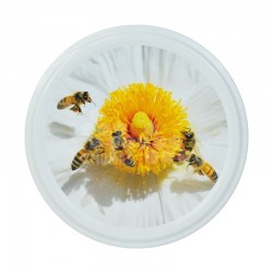 CAPSULE TO 82 ABEILLES FLEURS BLANCHES (CARTON COMPLET)