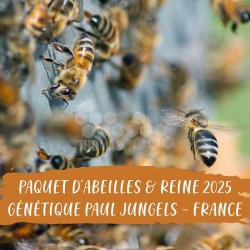 PAQUET ABEILLES & REINE - GENETIQUE JUNGELS - LORRAINE 57
