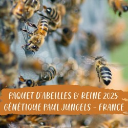 PAQUET ABEILLES & REINE - GENETIQUE JUNGELS - Liv Fay 45
