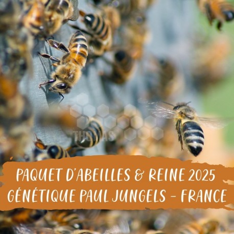 PAQUET ABEILLES & REINE - GENETIQUE JUNGELS - Liv Fay 45
