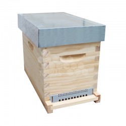 RUCHETTE DADANT 6 C TRADITION · TENONS TOIT PLAT