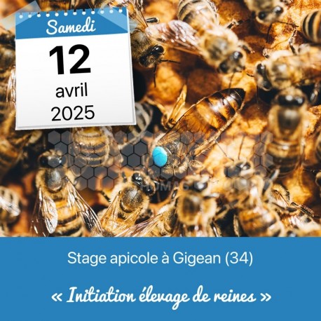 STAGE APICOLE GIGEAN - INITIATION ELEVAGE DE REINES