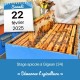 STAGE APICOLE GIGEAN - DEMARRER L'APICULTURE
