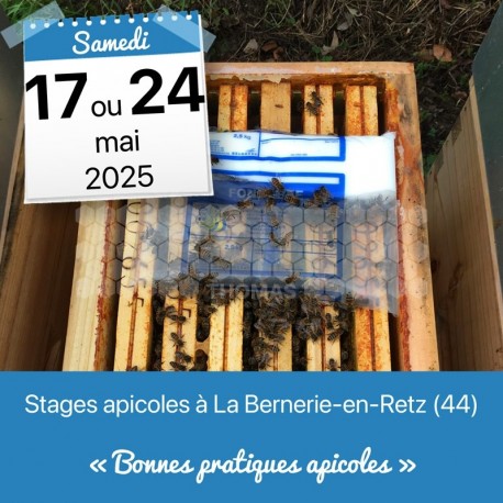 STAGE APICOLE PORNIC - BONNES PRATIQUES APICOLES