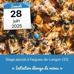 STAGE APICOLE LANGON - L'ELEVAGE
