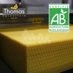 CIRE D'ABEILLE GAUFREE CERTIFIEE BIO -FR-BIO-01 (kg)