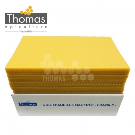 CIRE THOMAS GAUFREE ET CONDITIONNEE - 50 FEUILLES DDT CORPS