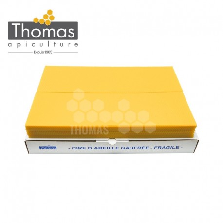 CIRE THOMAS GAUFREE ET CONDITIONNEE - 40 FEUILLES DDT HAUSSE