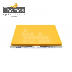 CIRE THOMAS GAUFREE ET CONDITIONNEE - 20 FEUILLES DDT HAUSSES