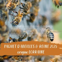 PAQUET ABEILLES & REINE - GENETIQUE JUNGELS - Liv Fay 45