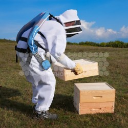 EXOSQUELETTE APIFAIR EVERY