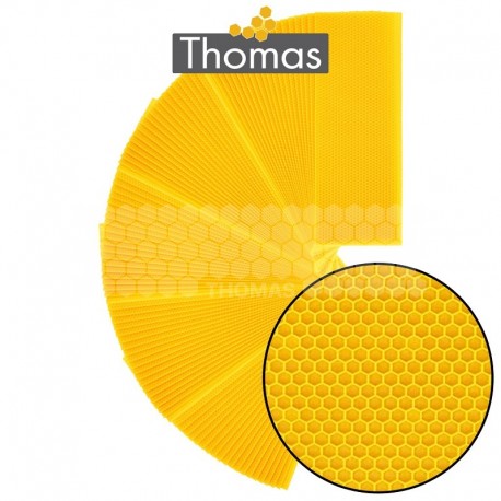 CIRE THOMAS GAUFREE ET CONDITIONNEE - 100 FEUILLES DDT HAUSSE