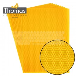 CIRE THOMAS GAUFREE ET CONDITIONNEE - 10 FEUILLES DDT CORPS