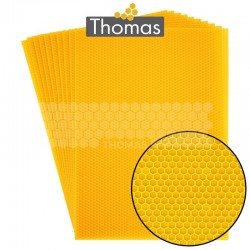 CIRE THOMAS GAUFREE ET CONDITIONNEE - 10 FEUILLES DDT CORPS