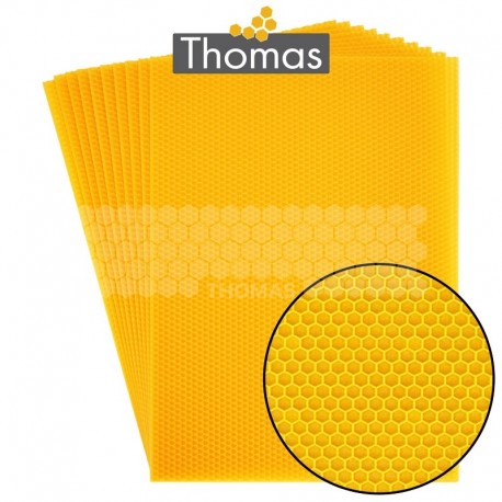 CIRE THOMAS GAUFREE ET CONDITIONNEE - 10 FEUILLES DDT CORPS