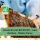 Essaim hiverné BIO Start + reine Buckfast Carnica France - Retrait 34