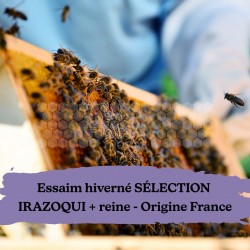 Essaim hiverné Sélection IRAZOQUI + reine Buckfast France Retrait 33
