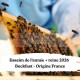 Essaim de l'année + reine Buckfast Origine Vendée France - Retrait 45