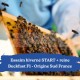 Essaim hiverné Start + reine Buckfast F1 Origine France - Retrait 34