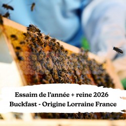 ESSAIM DE L'ANNEE FRANCE GENETIQUE P.JUNGELS RUCHETTE HD- Lor 57