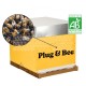 Pack essaim + reine enruchés BIO Plug & Bee Origine France Retrait 34