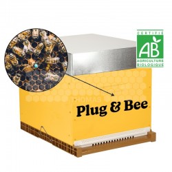 Pack essaim + reine enruchés BIO Plug & Bee Origine France Retrait 34