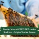 Essaim hiverné Certi Bee + reine Buckfast Origine France - Retrait 45