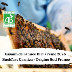 Essaim de l'année BIO + reine Buckfast Carnica Sud France Retrait 34
