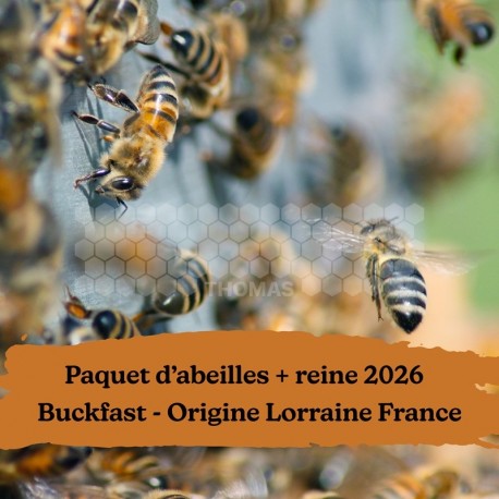 PAQUET ABEILLES & REINE - GENETIQUE JUNGELS - LORRAINE 57