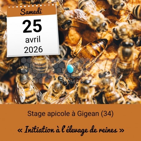 STAGE APICOLE GIGEAN - INITIATION ELEVAGE DE REINES