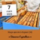 STAGE APICOLE GIGEAN - DEMARRER L'APICULTURE