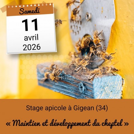 STAGE APICOLE GIGEAN - MAINTIEN ET DEVELOPPEMENT DU CHEPTEL