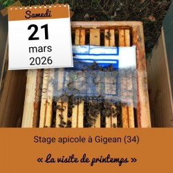 STAGE APICOLE GIGEAN - LA VISITE DE PRINTEMPS