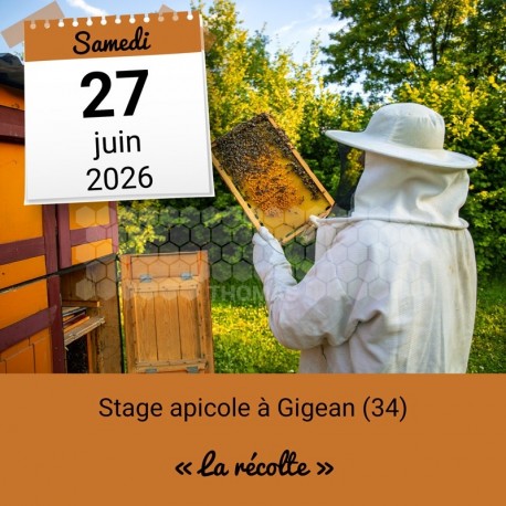 Stage apicole - La récolte - Gigean (34)