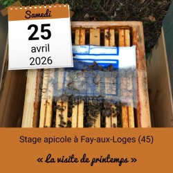 STAGE APICOLE FAY - LA VISITE DE PRINTEMPS