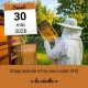 STAGE APICOLE FAY - LA RECOLTE