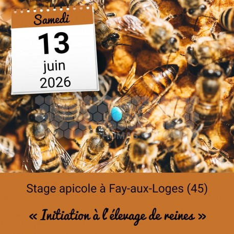STAGE APICOLE FAY - L'ELEVAGE DE REINES